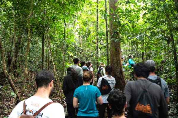 Volunturistas em trilha na Amazônia durante expedição Rio Negro